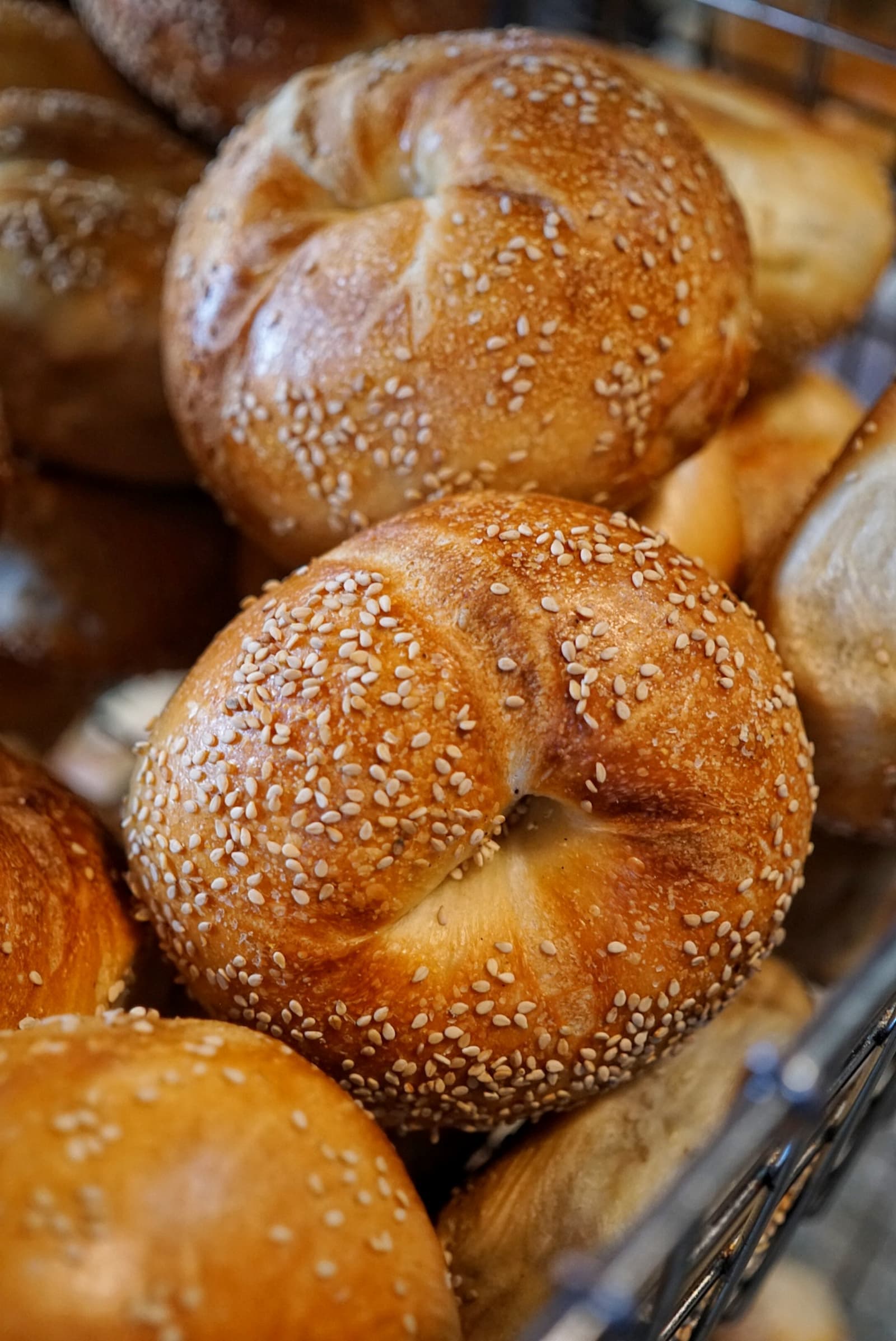 The O'Bagel family behind the counter